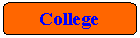 Rounded Rectangle: College Website